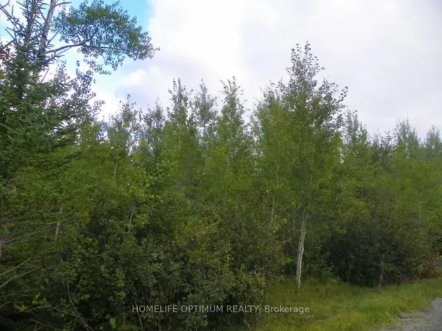 Pt 1 6R8933 Playfair Twp Blue Jay Road, Matheson, Black River-Matheson