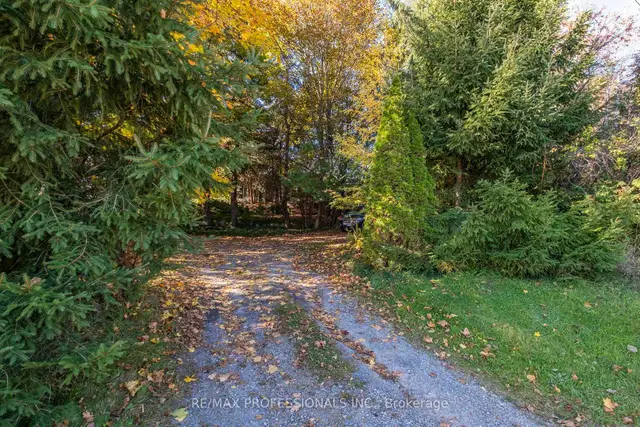 17280 Airport Road, Rural Caledon, Caledon