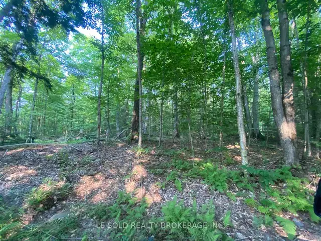 1310 Camel Lake Road · #Lot # 7, Watt, Muskoka Lakes