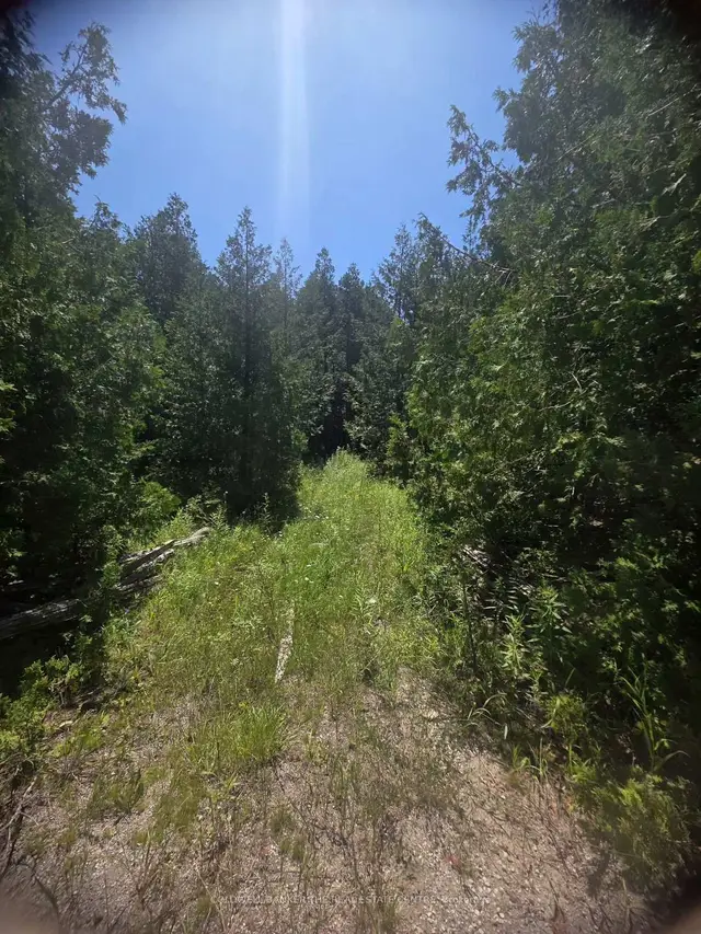 W N/A GOVERNMENT RD Acres W, Tehkummah