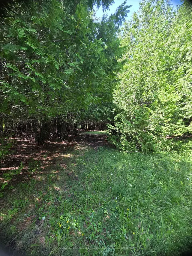 N/A Government Road W, Tehkummah