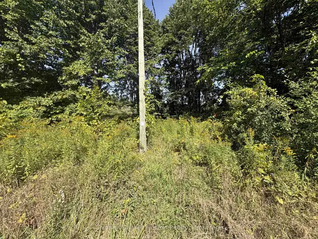 00 Ingham Road (Lot 2 - East) N/A, Alderville First Nation, Alderville First Nation