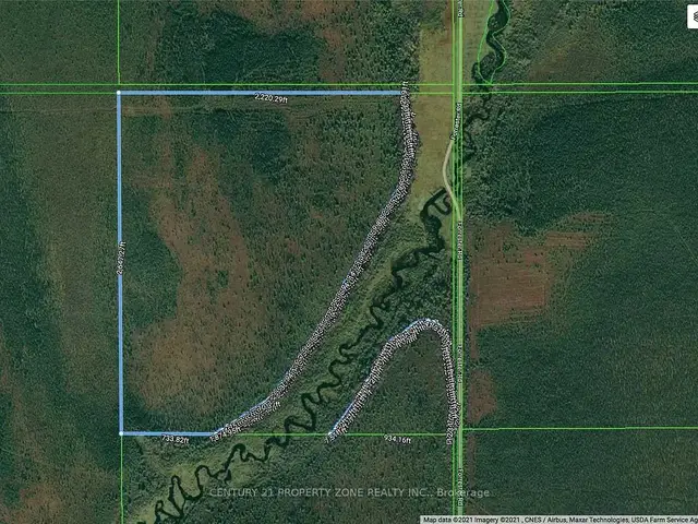 19501 Forrester Road, Lake of the Woods