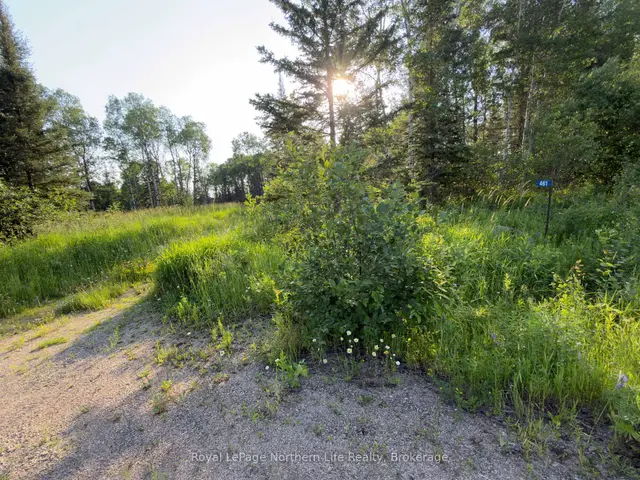 461 Alderdale Road, Chisholm, Chisholm