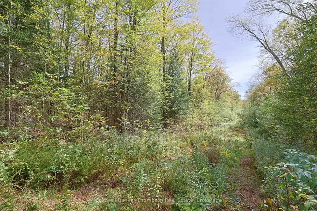 Lot 61 Off of Echo Ridge Road, Kearney, Kearney