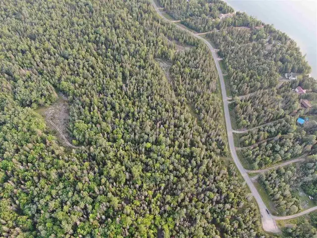 Hamilton Drive/ X Line, Hilton