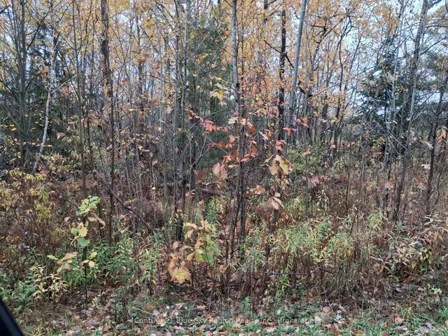 0 Bear Creek Road, Callander, Callander
