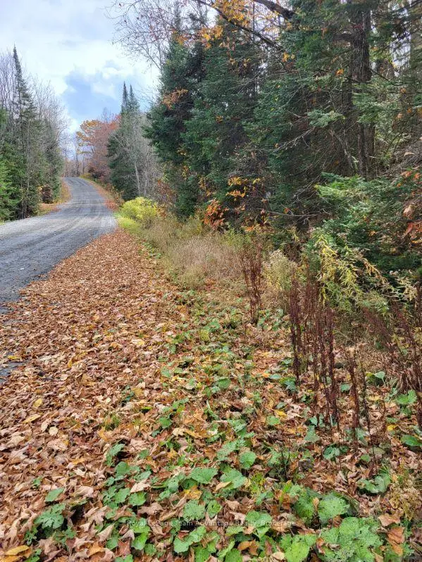 0 Haines Lake Road, McDougall, McDougall