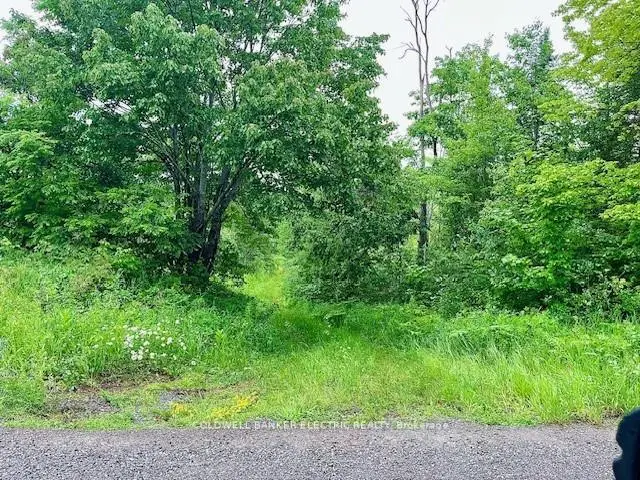 000 Lasswade Road, North Kawartha, North Kawartha