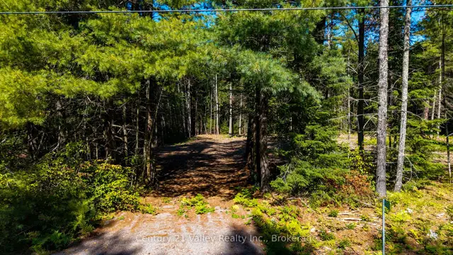 536 Pine Street, Greater Madawaska, Greater Madawaska