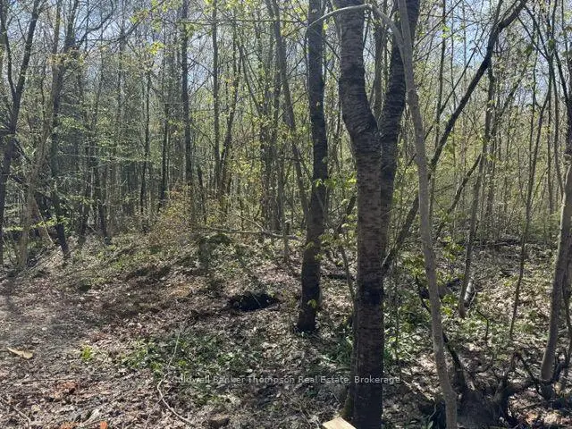 68 Mag View Drive, Armour, Armour