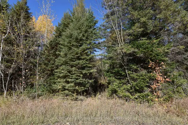 0 Highway 620 N/A, Wollaston, Wollaston