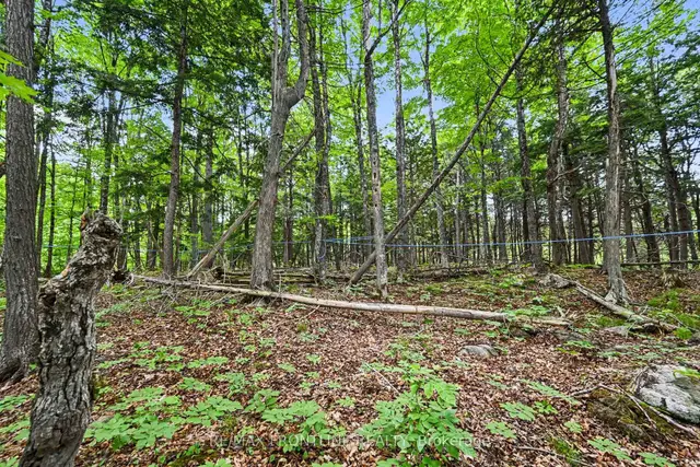 634 Concession 5A Dalhousie N/A, Lanark Highlands (Dalhousie) Twp, Lanark Highlands