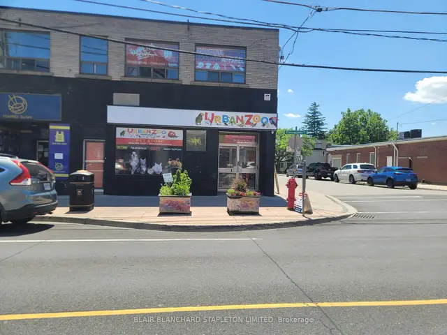 540B Concession Street, Eastmount, Hamilton